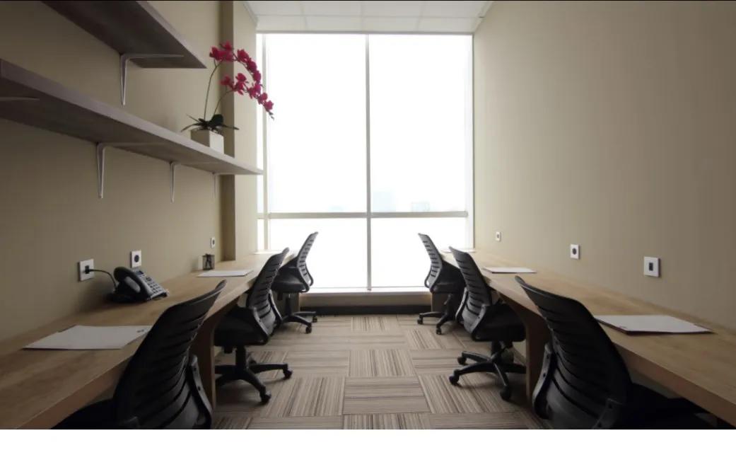 Suite 8